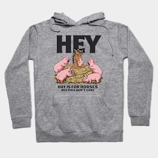 Hey, hay is for horses Hoodie